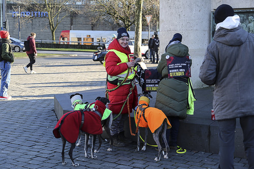 Galgo Marsch Köln 2025 954.jpg