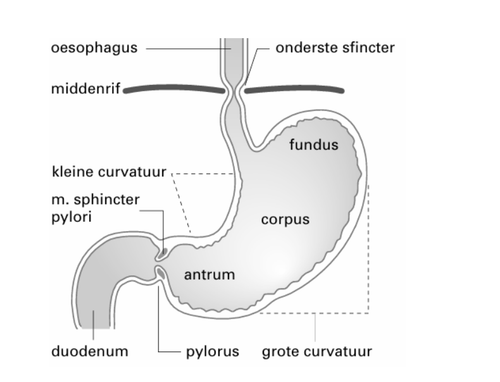 aebe62480c6d.png