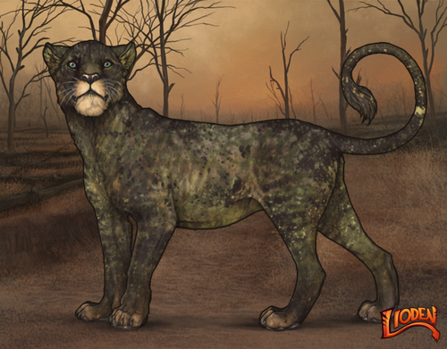 lioden wardrobe (70).png