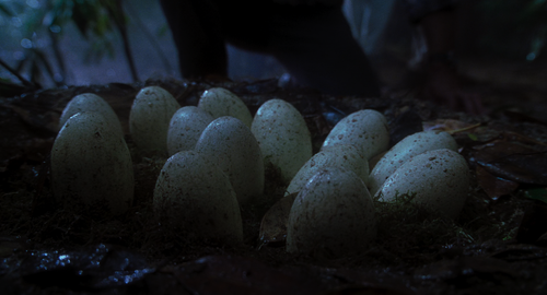 mpv shot0003.png