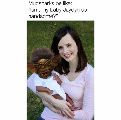 Gik LY2bYAIsn1b.jpg