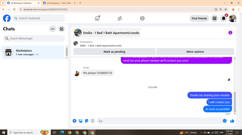 33.3.png