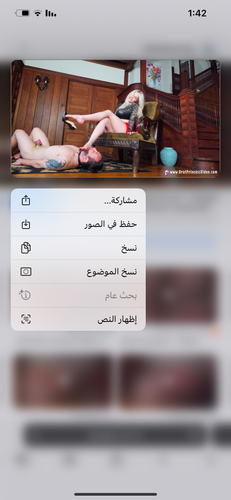 images%2Fimage 1738349717548.png