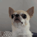 ezgif 6ecfce70721a1.gif