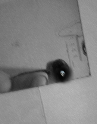 Screenshot 2025 02 01 204159.png