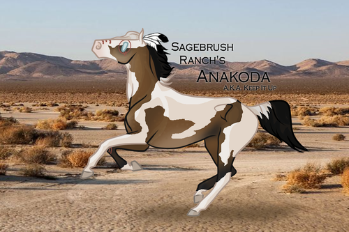 sbr keepitup anakoda.png