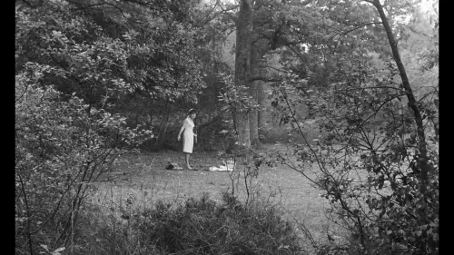 vlcsnap 2022 02 13 21h20m55s328.webp