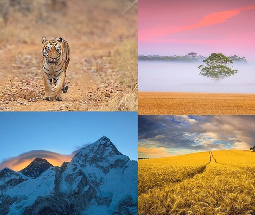 ' Glorified is The  All-Mighty Creator '.jpg