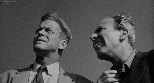 497917817 preview 03 85602.png