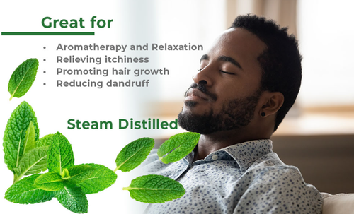 Ekran görüntüsü 2025 02 01 181417.png