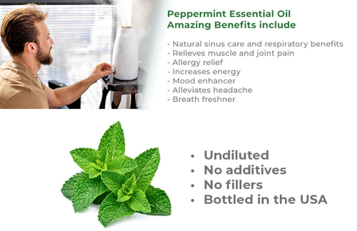 Ekran görüntüsü 2025 02 01 181430.png