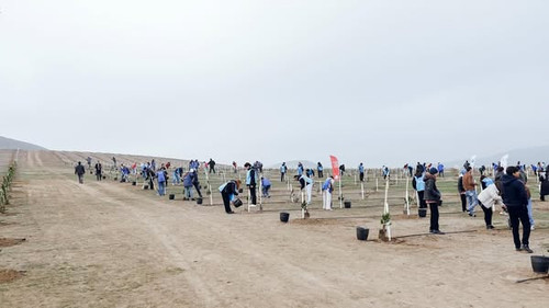 476050641 18054675284081631 9100039417516643420 n.jpg?stp=dst jpg s600x600 tt6& nc cat=101&ccb=1 7& .jpg