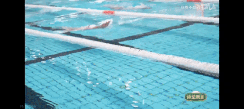 1000012141.gif