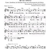 TOPtcionIntro efo pt1