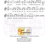 TOPtcionIntro efo pt3