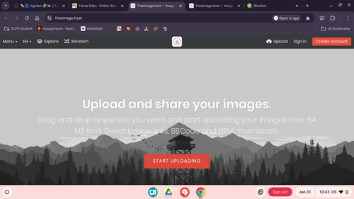 Screenshot 2025 01 31 10.43.59 PM.png