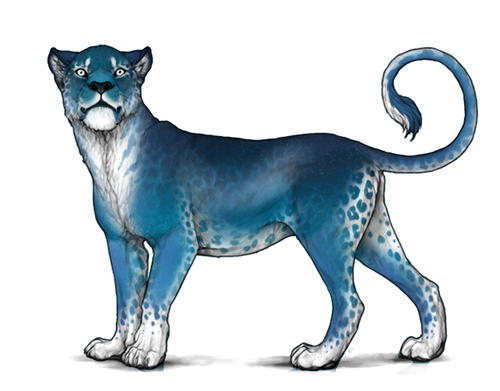 customdecors agespecific 20250202112625.png