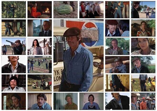 [Image: 2ZbUibI.jpg]