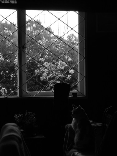 DSCN1571.jpg