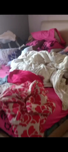 Screenshot 20250131 085857.jpg