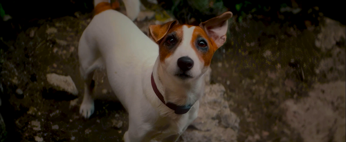 vlcsnap 2025 02 01 15h09m16s343.png