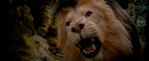 vlcsnap 2025 02 01 15h13m33s318.png