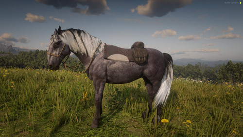 RedM GTAProcess qeUJpSgKTf.jpg