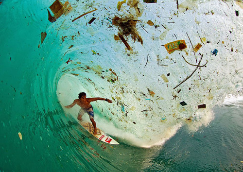 planet pollution overdevelopment overpopulation overshoot 13.jpg