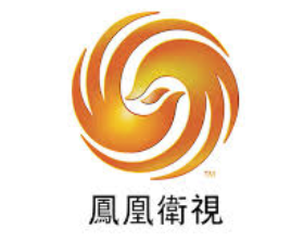 2025 01 31 17 09 36 PHOENIX CHINESE CHANNEL Google Search — Mozilla Firefox.png
