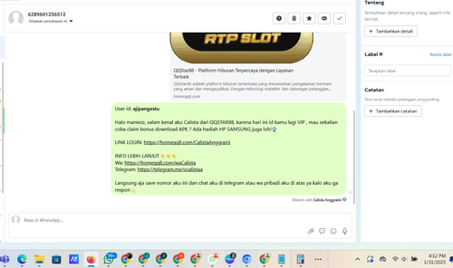 Screenshot 2025 01 31 161232.png