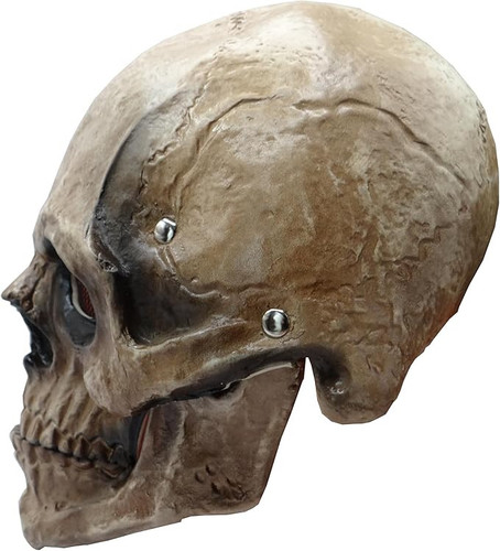 71niH OImvL. AC SX679 .jpg