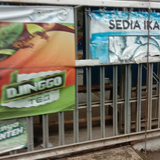 c5fd02252d1a.png