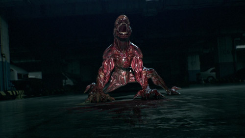 生化危机：诅咒.Biohazard.Damnation.2012.BluRay.1080p.x265.10bit.2Audio.DDP5.1.MNHD FRDS 01.jpg
