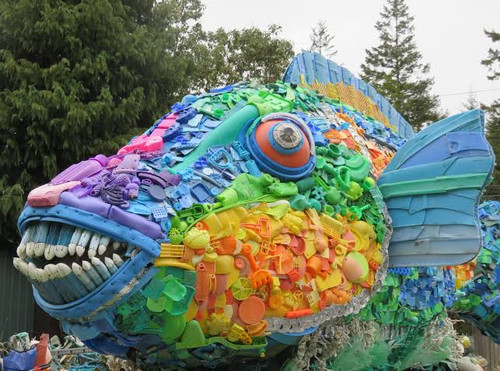 images 2025 01 31T195309.109.jpg