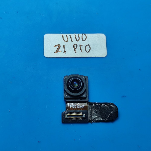 IMG 20250129 114925.jpg