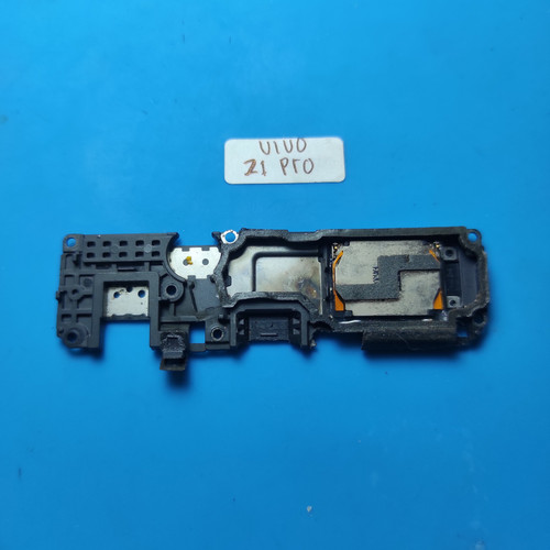 IMG 20250129 115153.jpg