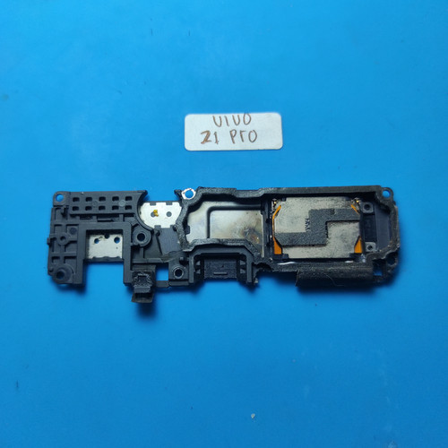 IMG 20250129 115154.jpg