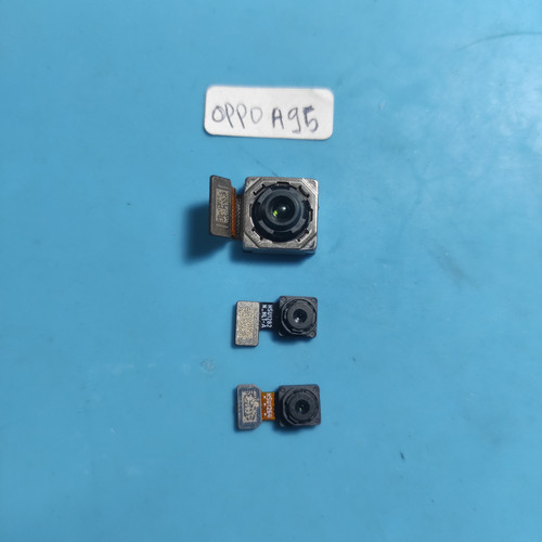 IMG 20250129 155625 1.jpg