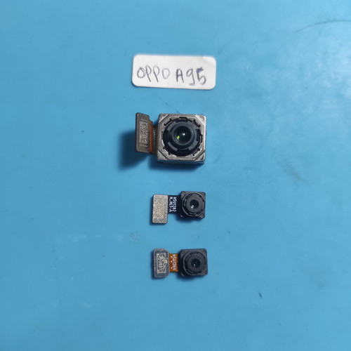 IMG 20250129 155625.jpg