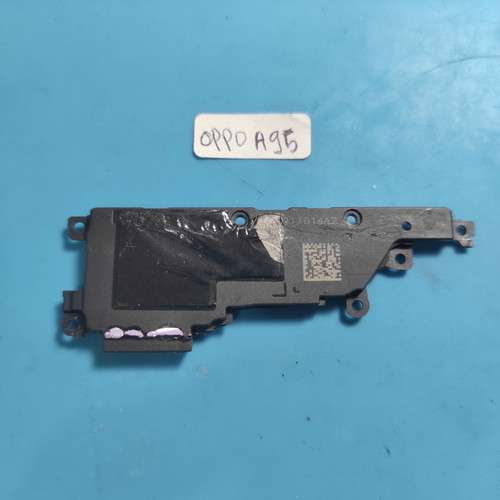 IMG 20250129 155957.jpg