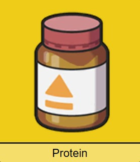 Protein.jpg
