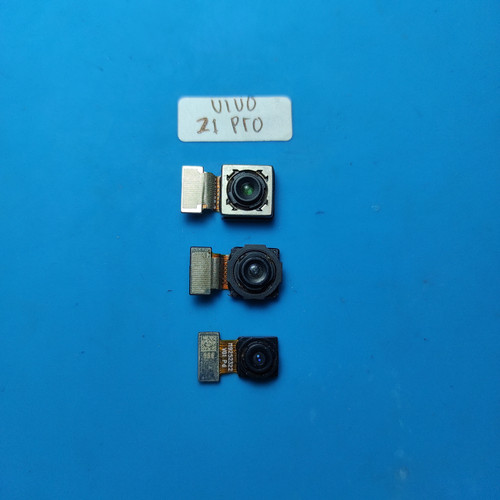 IMG 20250129 114659.jpg