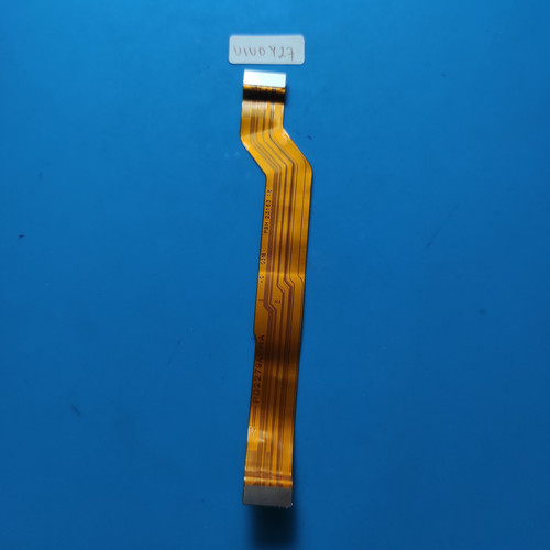 IMG 20250129 113628.jpg