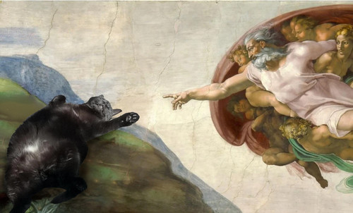can we combine my cat into this famous photo v0 x7o9j9yg4gge1 copy.jpg