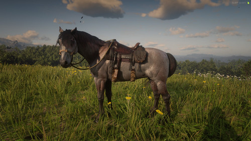 RedM GTAProcess Q2ux3v9Fvl.jpg