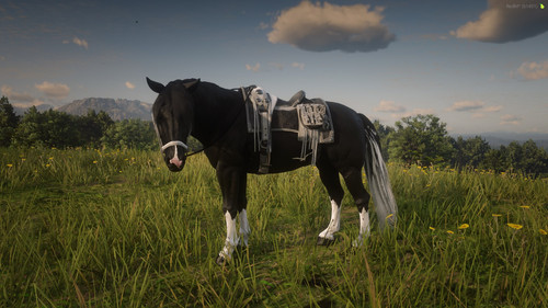 RedM GTAProcess mr2E2ZxxpV.jpg