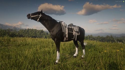 RedM GTAProcess Ljwu3LnvJC.jpg