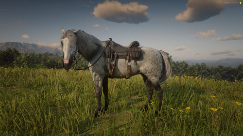 RedM GTAProcess mtLtYcqZgJ.jpg