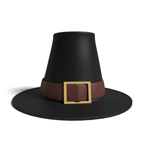 pilgrim hat.jpg