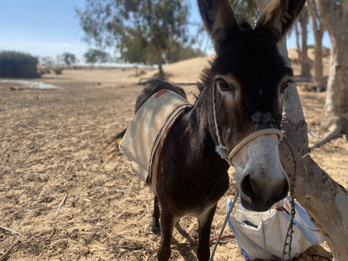 images%2Fimage 1738449028587.jpg